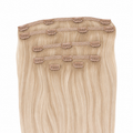 CLIP-IN HAIR EXTENSIONS, CHAMPAGNE OVATION #P10/16/60-80