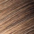 Cocoa-to-Toffee Root