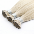 I-TIPS HAIR EXTENSIONS, ARCTIC HALO #80