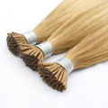 I-TIPS HAIR EXTENSIONS, SUNLIT SOVEREIGN #610